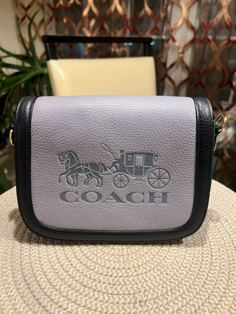 Coach Saddle in Colorblock w/Horse &  Carriage